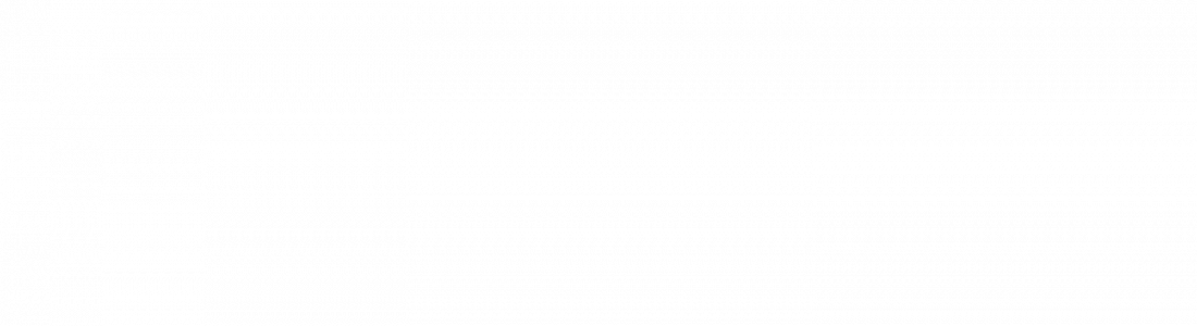 BW 4×4